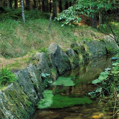 Schwarzenbergscher Schwemmkanal, © IMAGNO/Gerhard Trumler