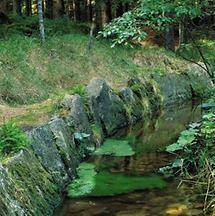 Schwarzenbergscher Schwemmkanal