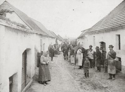 Weinlese in Langenlois, © IMAGNO/Archiv Lunzer