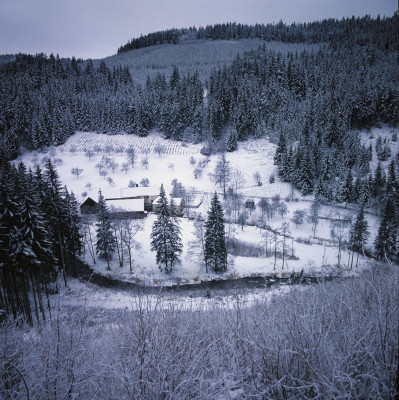 Waldlichtung an der Großen Krems, © IMAGNO/Gerhard Trumler