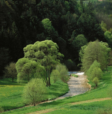 Im Tal der Großen Krems, © IMAGNO/Gerhard Trumler