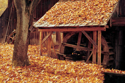 Mühle an der Lainsitz bei Schönbüchl, © IMAGNO/Franz Hubmann