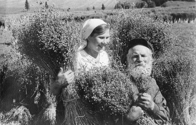 Bauern auf dem Feld, © IMAGNO/Austrian Archives (S)