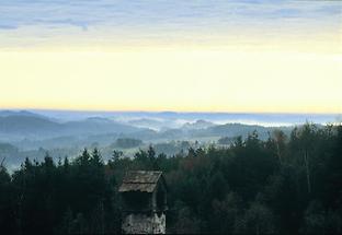 Landschaft im nördlichen Waldviertel