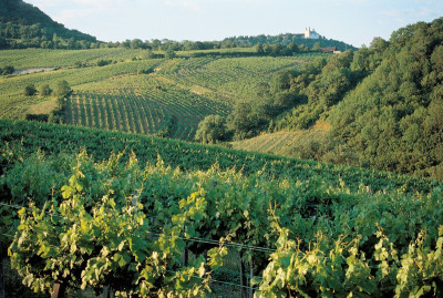 Leopoldsberg, © IMAGNO/Gerhard Trumler