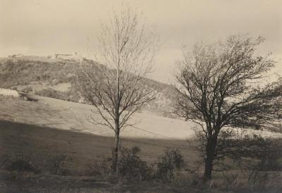 Blick auf den Leopoldsberg, © IMAGNO/Franz Hubmann