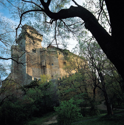 Burg Liechtenstein, © IMAGNO/Gerhard Trumler