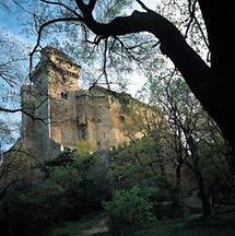 Burg Liechtenstein