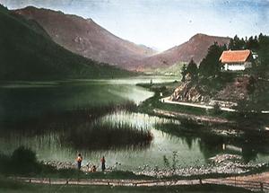 Der Lunzer See