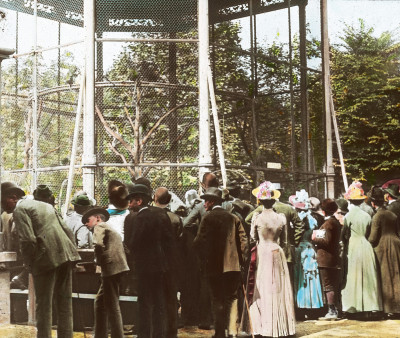 Das Affenhaus im Schönbrunner Tiergarten, © IMAGNO/Öst. Volkshochschularchiv