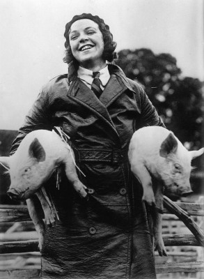 Frau mit Glückschweinen zu Silvester, © IMAGNO/Austrian Archives