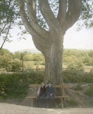 Zwei Buben unter dem Siebenbrüderbaum, © IMAGNO/Öst. Volkshochschularchiv