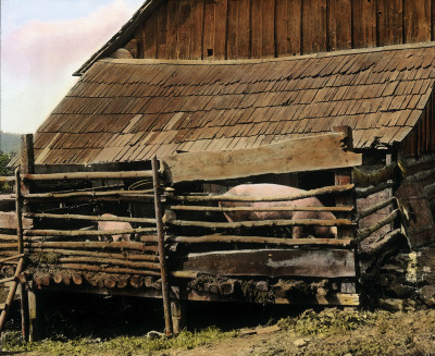 Schweinestall, © IMAGNO/Öst. Volkshochschularchiv