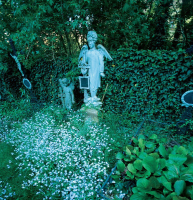 Kleiner Friedhof in Niedersulz, © IMAGNO/Gerhard Trumler