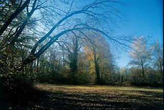 Park von Obersiebenbrunn