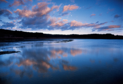 Zieringser Teich bei Ottenstein, © IMAGNO/Franz Hubmann