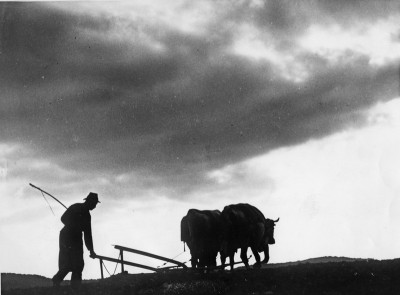Silhouetten eines Bauern beim Pflügen, © IMAGNO/Austrian Archives (S)