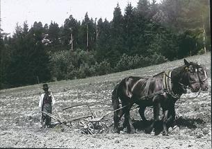 Bauer beim Pflügen