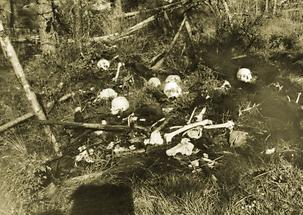 Gefallene Italiener bei Ospitale an der Piave in Italien