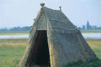 Hirtenhütte aus Schilf nahe Podersdorf am Neusiedlersee