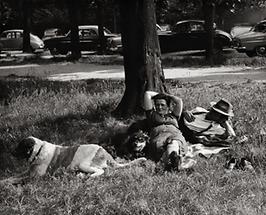 Sommerliche Entspannung im Prater