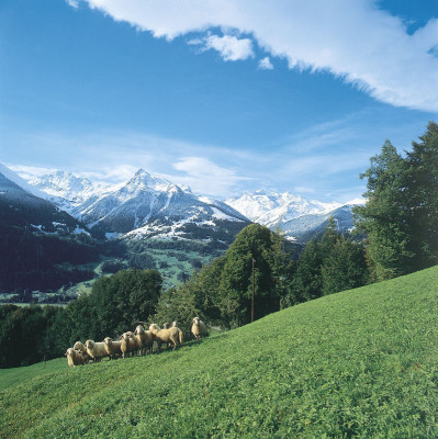 Alpenlandschaft im Rätikon, Vorarlberg, © IMAGNO/Gerhard Trumler