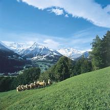 Alpenlandschaft im Rätikon, Vorarlberg