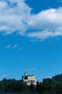 Blick auf die Burg Rappottenstein