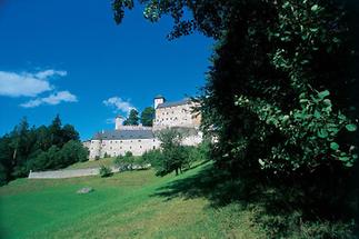Blick über Wiesen auf Burg Rappottenstein