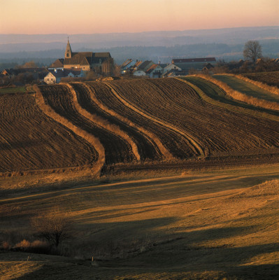 Die Kirche von Rastenfeld, © IMAGNO/Gerhard Trumler