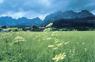 Das Steinerne Meer bei Saalfelden, Salzburg