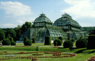 Palmenhaus im Schlosspark von Schönbrunn, © IMAGNO/Dagmar Landova