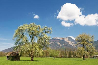 Blick auf den Schafberg, © IMAGNO/Gerhard Trumler