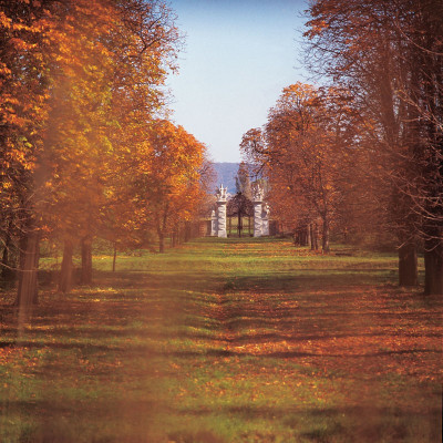 Park von Schloss Hof, © IMAGNO/Gerhard Trumler