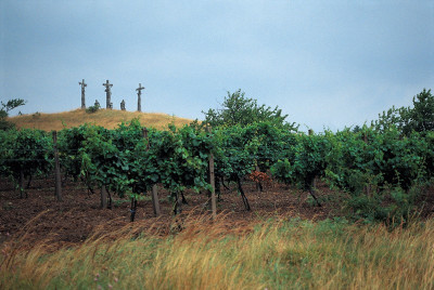 Der Kalvarienberg in Schrattenthal, © IMAGNO/Gerhard Trumler