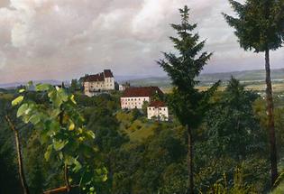 Weingebiet um Schloss Seggau