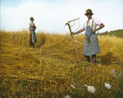 Waldbauern bei der Getreideernte, © IMAGNO/Öst. Volkshochschularchiv