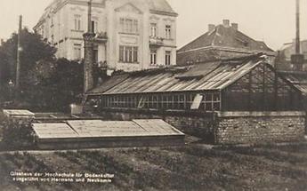 Glashaus der Hochschule für Bodenkultur