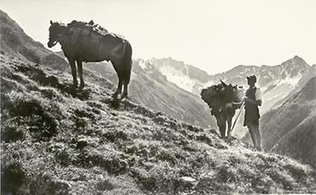 Mallnitzer Tauern