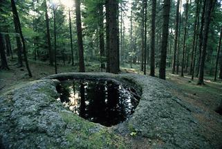 Schalenstein bei Traunstein