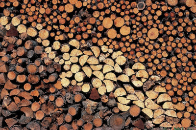 Holzstapel, © IMAGNO/Gerhard Trumler