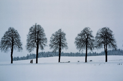 Landstraße bei Vitis, © IMAGNO/Franz Hubmann