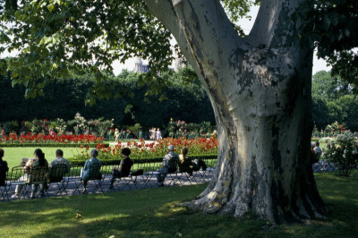 Der Wiener Volksgarten, © IMAGNO/Dagmar Landova