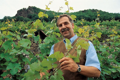 Winzer Hans Altmann vom Weingut Jamek, © IMAGNO/Gerhard Trumler