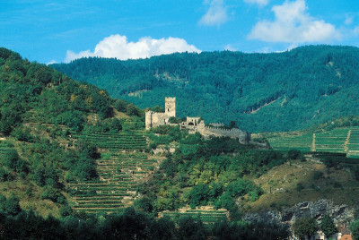 Weinterrassen in der Wachau, © IMAGNO/Gerhard Trumler