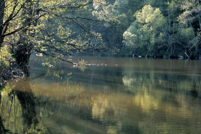 Die Thaya bei Raabs, © IMAGNO/Franz Hubmann