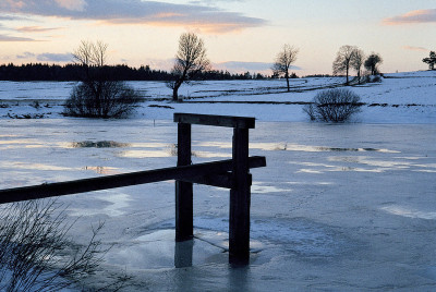 Karpfenteich bei Reitzenschlag, © IMAGNO/Franz Hubmann