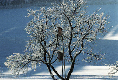 Friedersbach, © IMAGNO/Franz Hubmann