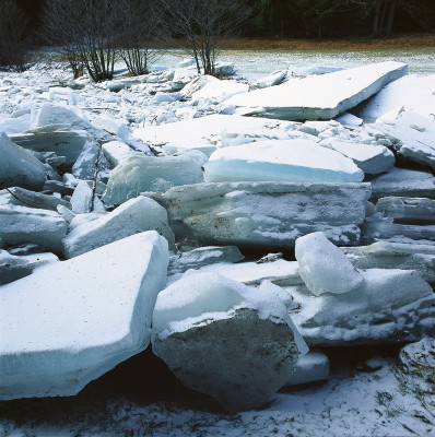 Eisstoß auf der Zwettl, © IMAGNO/Gerhard Trumler