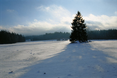 Winterlandschaft, © IMAGNO/Gerhard Trumler